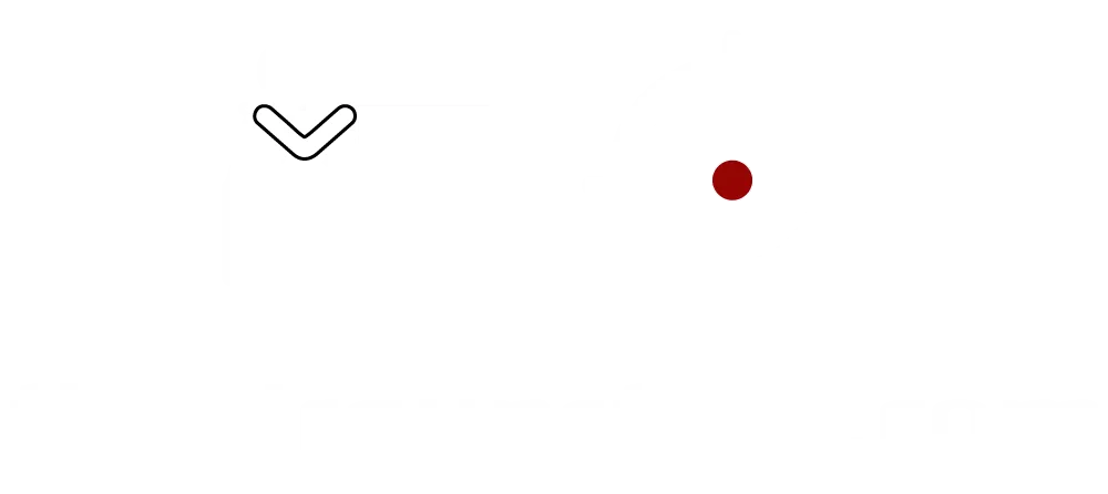 the air gun store