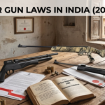 air gun laws India